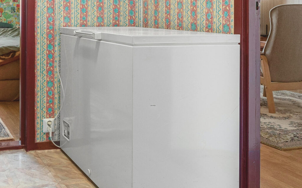 Freezer Repair Myself